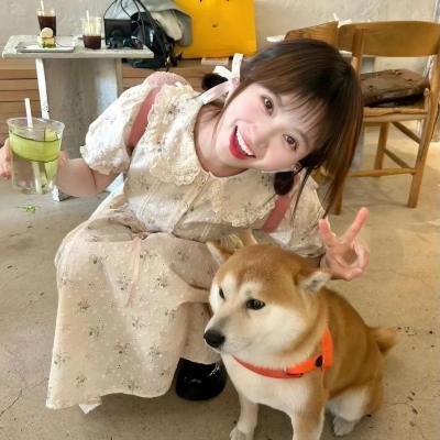 虎穴龙潭